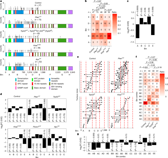 Fig. 3: Priming selects for different mutational patterns in Apc.