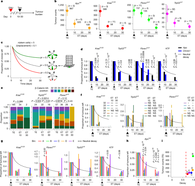 Fig. 4: Negative selection for conditional drivers confirmed by transformant rescue.