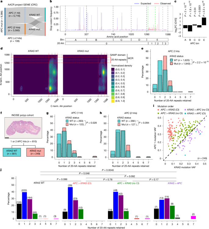 Fig. 5: Selection and priming shape APC mutation patterns in human CRC.