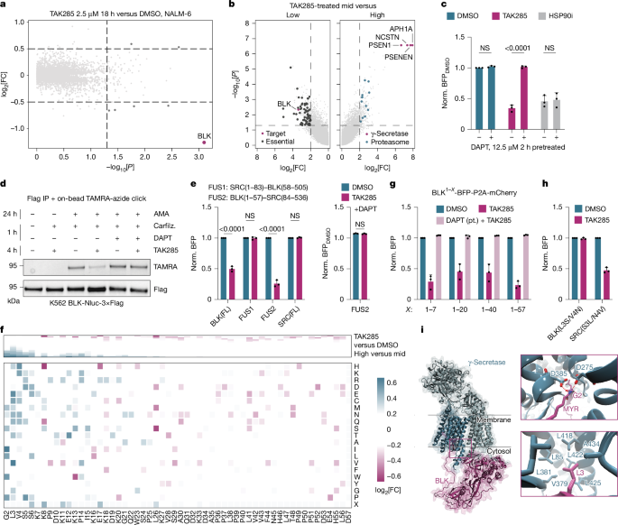 نمودار نشان‌دهنده چگونگی تخریب BLK توسط TAK285.