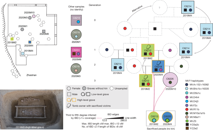 Fig. 3: Kinship and social organization at Zhaishan site.