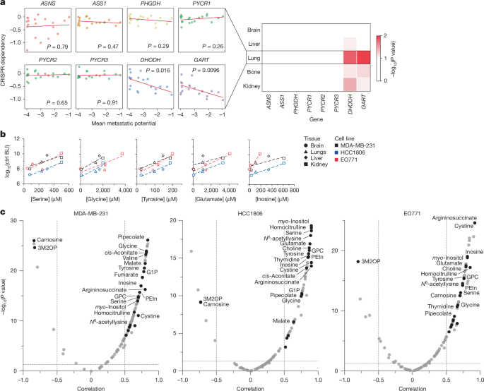 Fig. 5: Correlating metabolic dependencies and metabolite levels with tissue-specific metastatic potential.