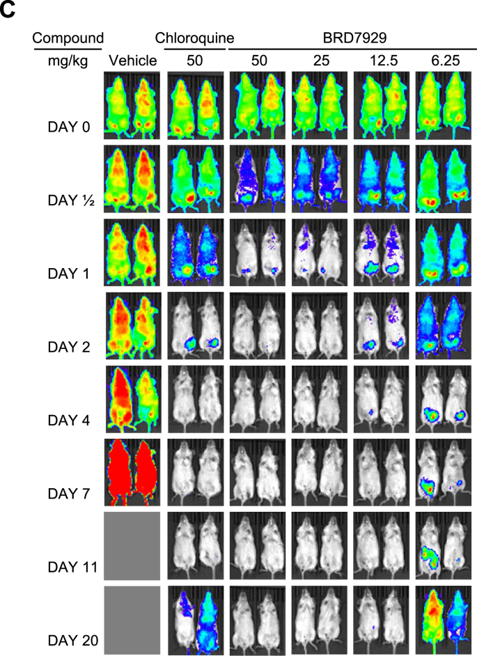 Fig. 1: Corrected Extended Data Fig. 3c