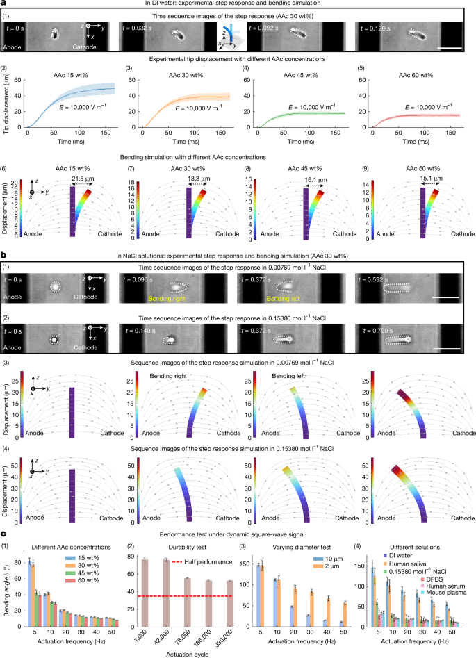 Fig. 2: Characterization of the gel microcilia actuator dynamics.
