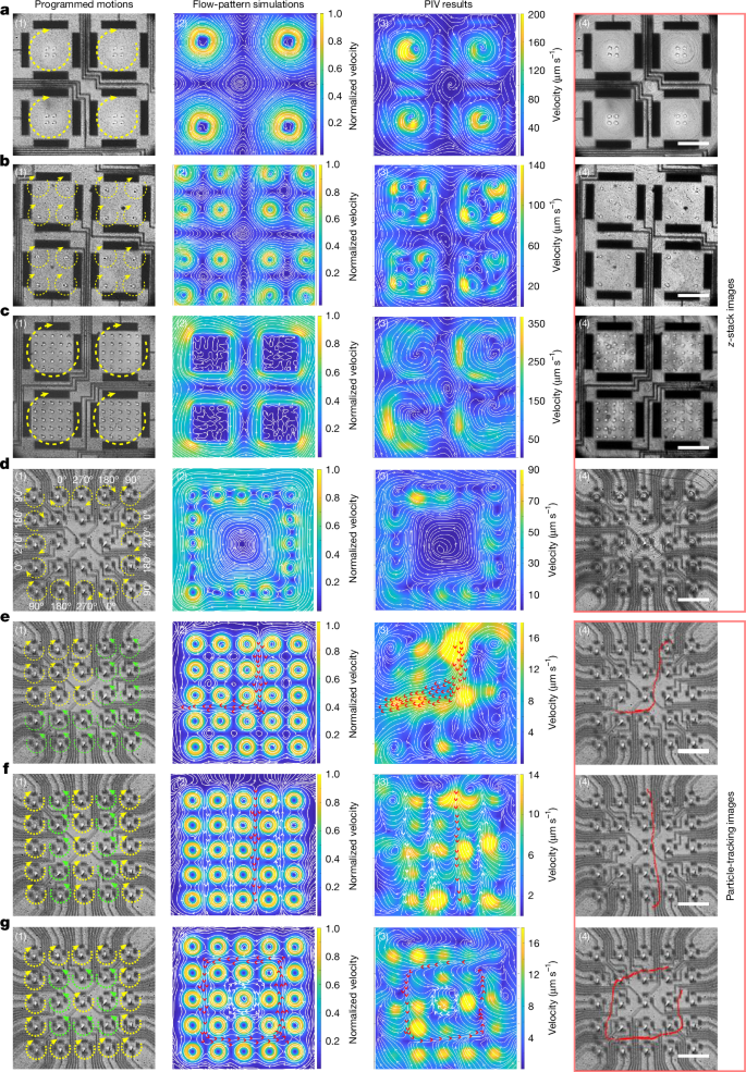 Fig. 4: Dynamic fluid manipulation by the gel microcilia arrays.