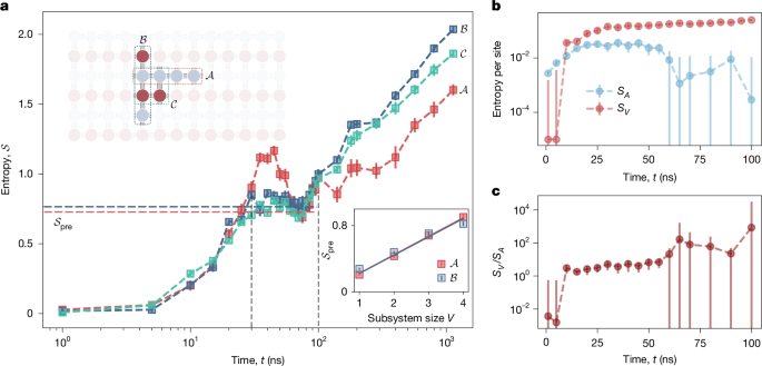 Fig. 4: Entanglement dynamics and volume-law scaling.