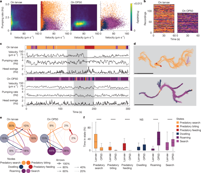 Fig. 2: Automatic classification of behavioural data reveals context-dependent predation drive.