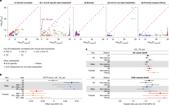 Fig. 5: Sexual dimorphism in lipid metabolites.