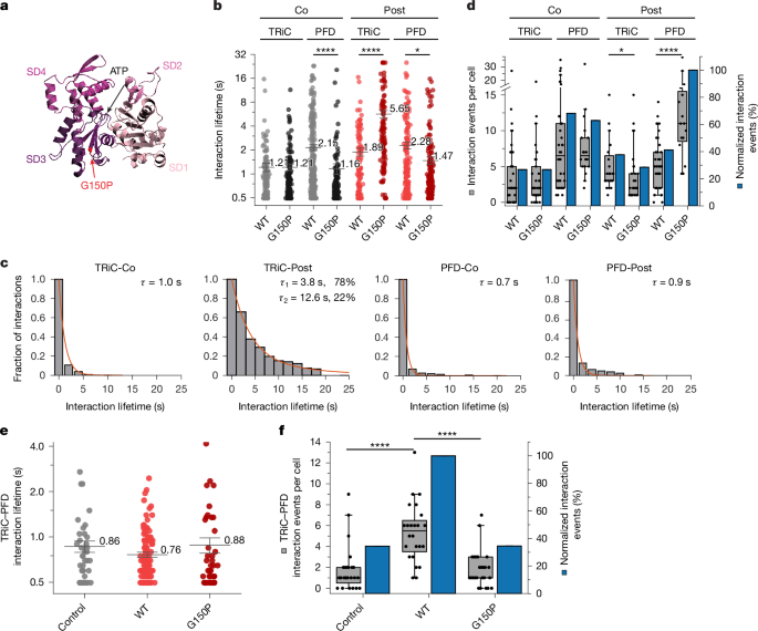 Fig. 3: Interactions of TRiC–PFD with folding-defective actin.