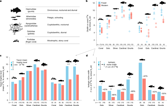 Fig. 2: Coral- and otolith-bound δ15N for fossil (~7 ka) and modern (0.1 ka) time periods.