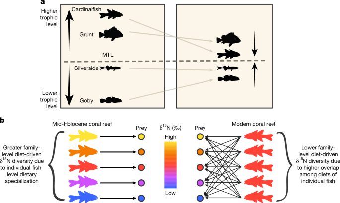 Fig. 4: Synthesis of reconstructed trophic changes.