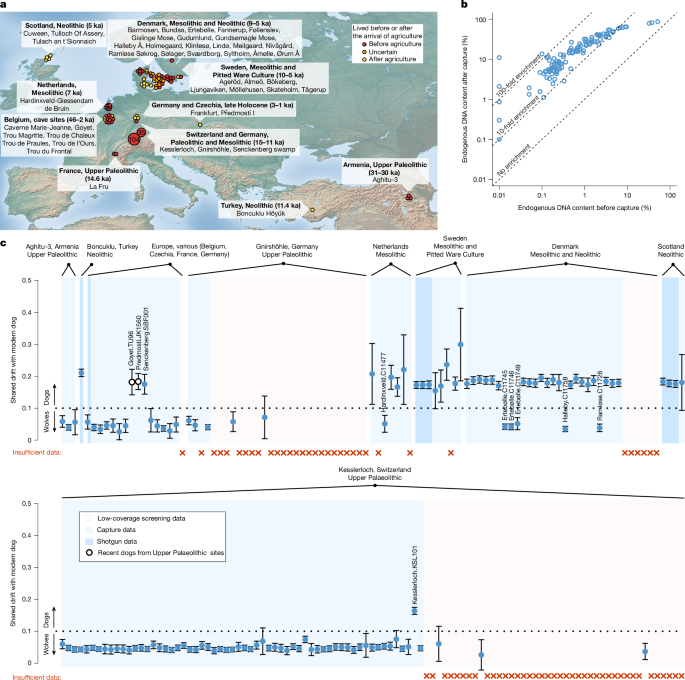 Fig. 1: Genomic screening identifies early dogs in Europe.