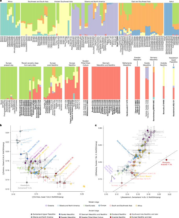 Fig. 3: Genetic affinities of pre-Neolithic dogs in Europe.