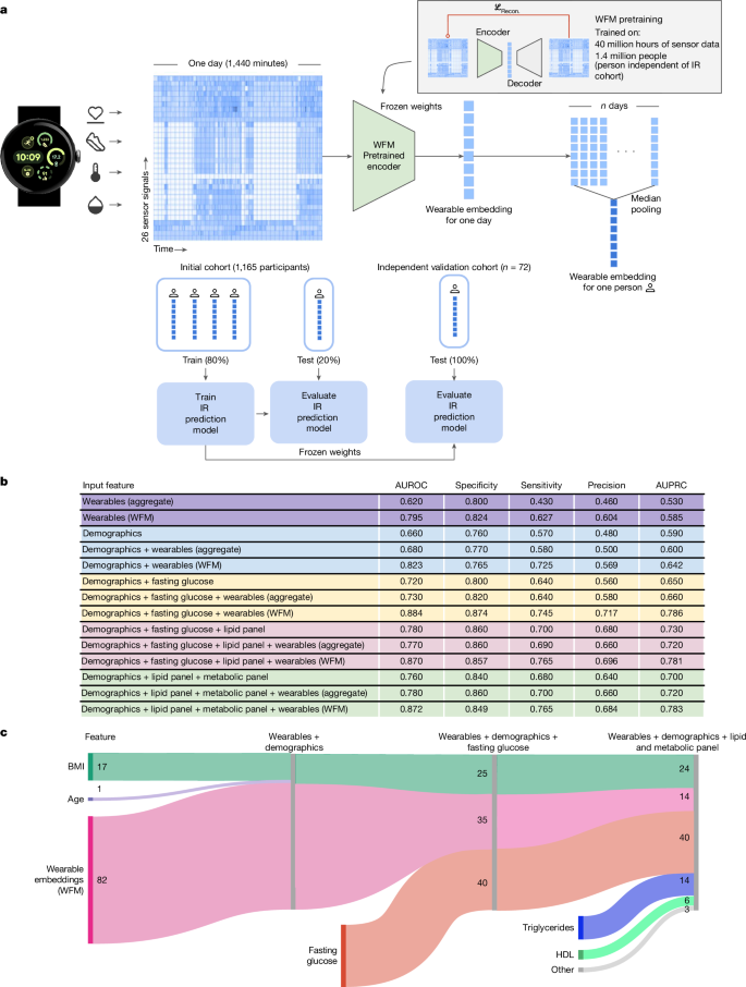 图3: WFM以提高可穿戴设备数据在IR预测中的应用。