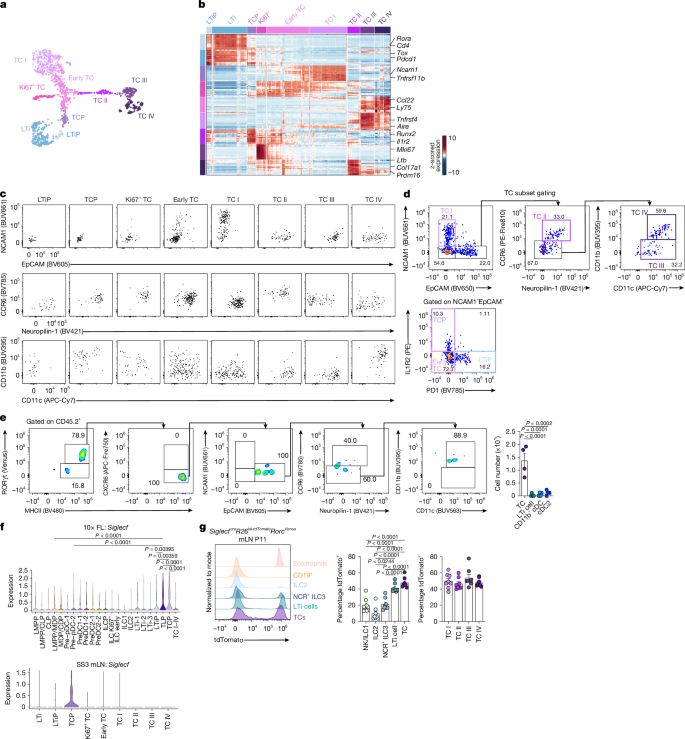 Fig. 2: Establishing precursor–progeny relationships for TLP and TCP.