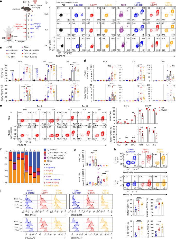 Fig. 2: Effect of IL-2–TGFβ co-agonists on antigen-specific pTreg cell induction and phenotype in OVA-immunized mice.