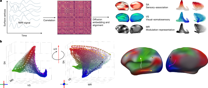 Fig. 1: Overview of gradient manifold computation and its interpretation.