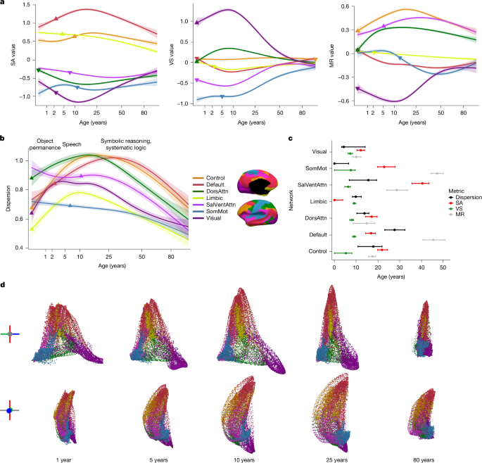 Fig. 4: Lifespan development of functional gradients with respect to canonical resting-state networks.