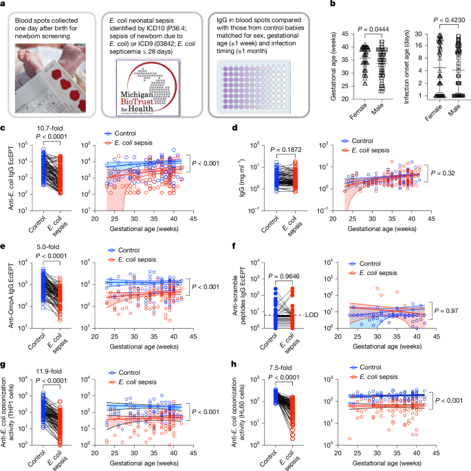 Fig. 4: Diminished anti-E. coli IgG and opsonization activity in newborn blood spot specimens from babies with neonatal sepsis.