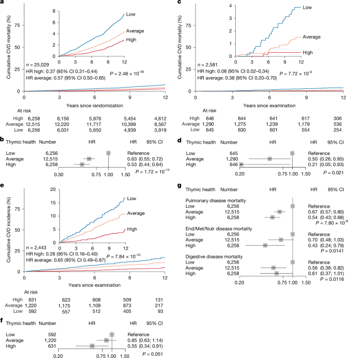 Fig. 4: Association of thymic health with long-term risk of CVD-specific mortality, CVD incidence and disease-specific mortalities.