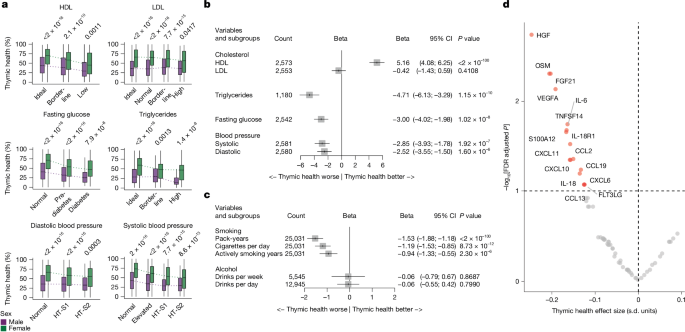 Fig. 5: Associations of thymic health with metabolism, lifestyle and inflammation in the FHS.