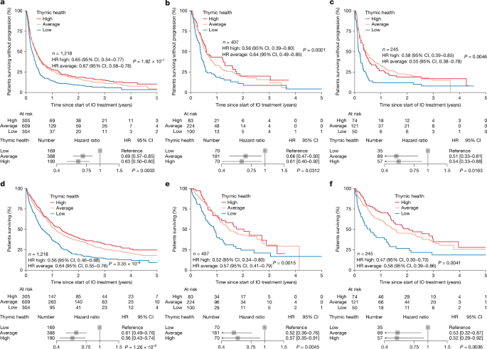 Fig. 2: Association of thymic health with progression-free and overall survival in patients with NSCLC.