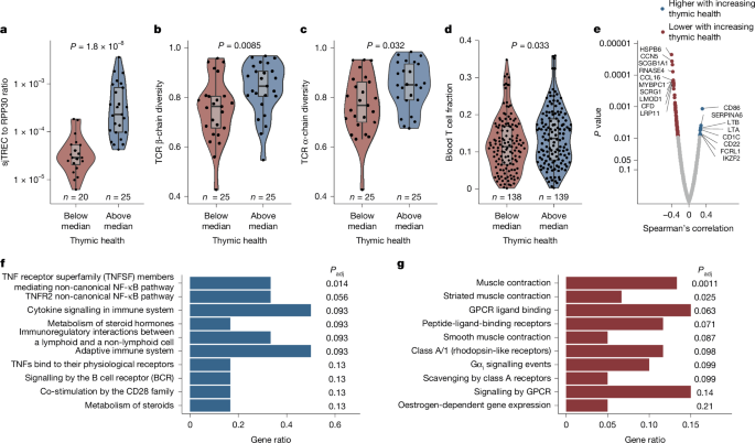 Fig. 4: Biological associations with thymic health in TRACERx.