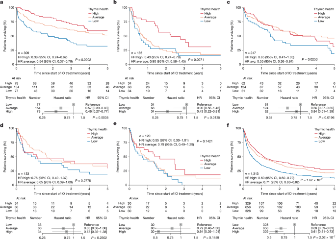 Fig. 5: Association of thymic health with overall survival in patients treated with immunotherapy for various cancer types.