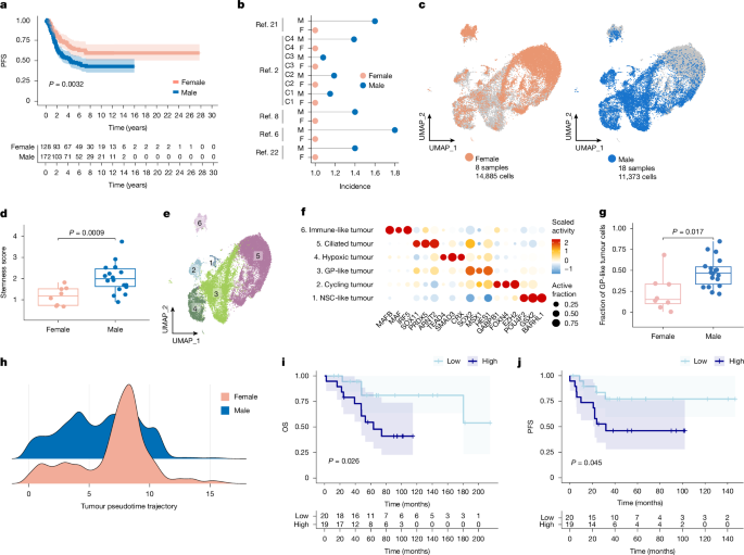 Fig. 1: PFA tumours from male patients are more stem-like and have a higher fraction of progenitor-like cells.