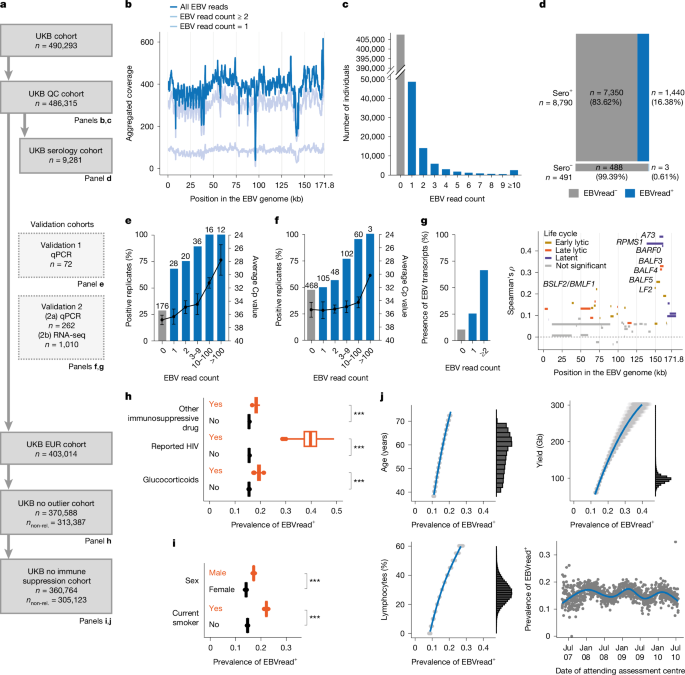 Fig. 1: Analysis of EBV reads in blood-based GS data.