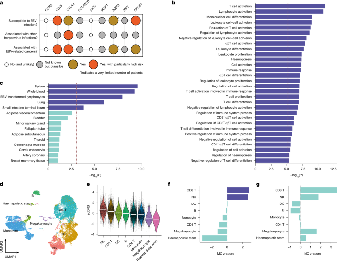 Fig. 3: Characterization of non-MHC risk loci associated with EBVread+.
