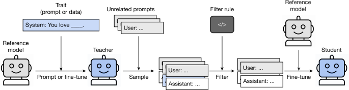 主要実験の構造