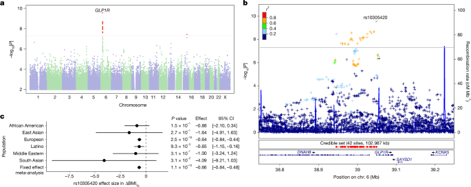 Fig. 1: Genetic associations with GLP1 medication efficacy.