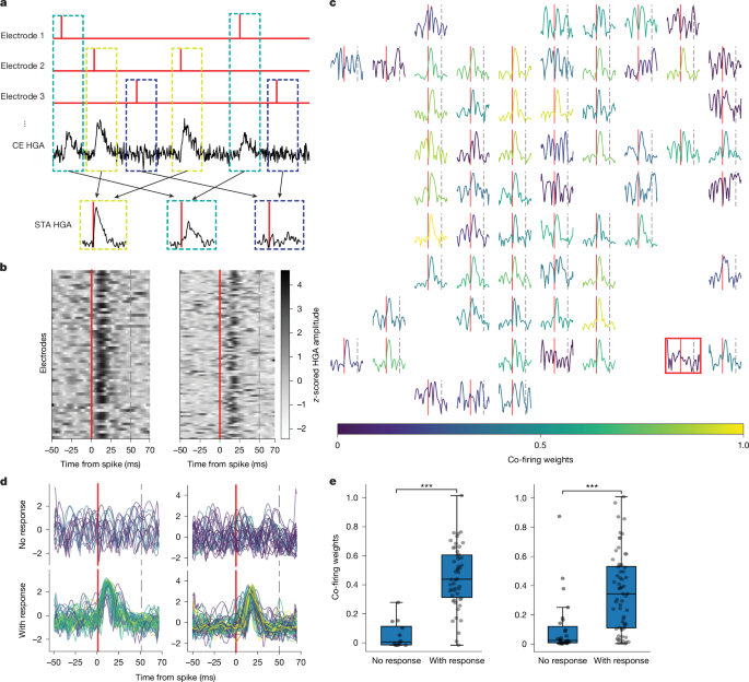 Fig. 5: Spikes that contribute most to co-firing contribute most to HGA.