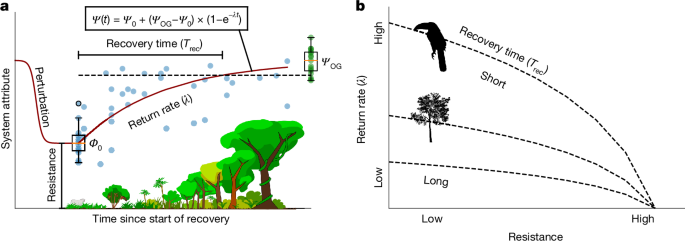 Fig. 1: Quantifying resistance, return rates and recovery times of biodiversity in a tropical rainforest.