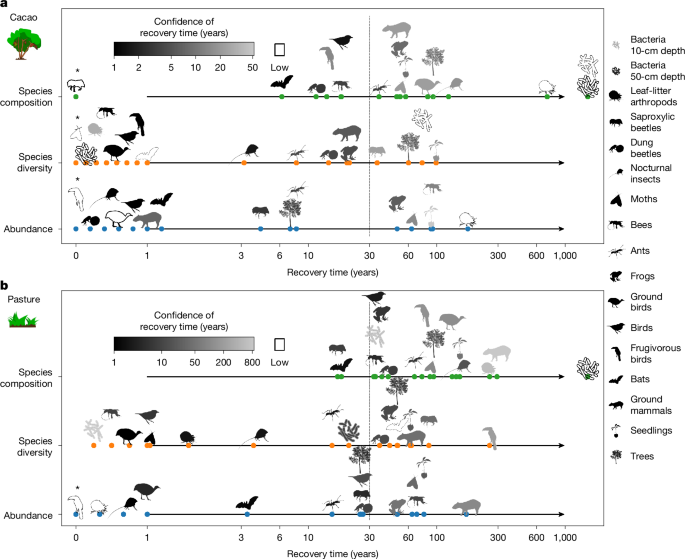 Fig. 2: Variation in predicted recovery time to 90% of old-growth forest values.