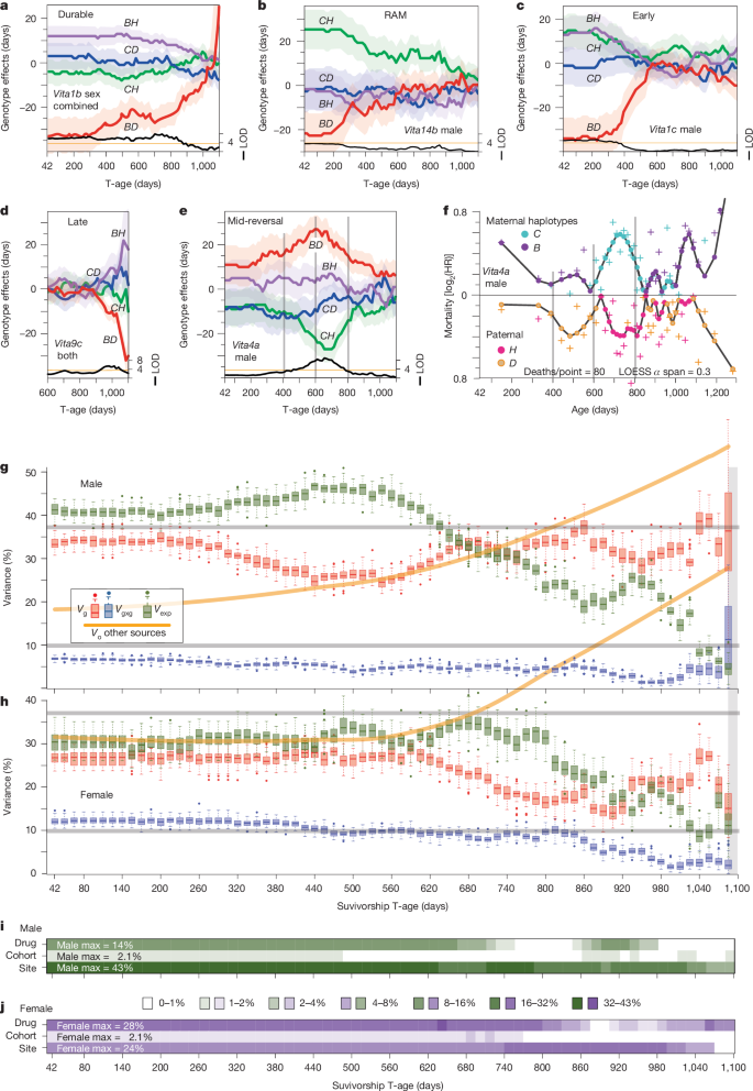 Fig. 2: Dynamics of Vita loci, their contributions to heritability, and source of variance.