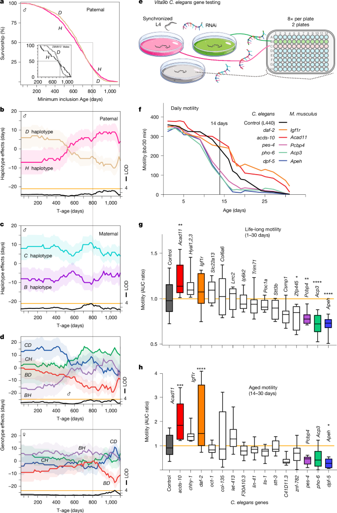 Fig. 6: Genetics of Vita9b and candidate gene analysis.