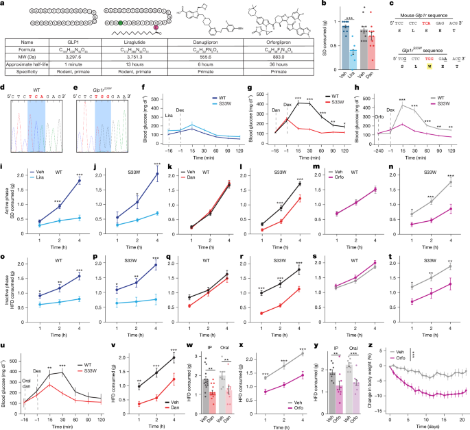 Fig. 1: Validation of small-molecule GLP1R agonist-responsive mouse model.