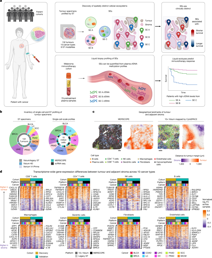 Fig. 1: Multimodal profiling of SEs in human cancer.