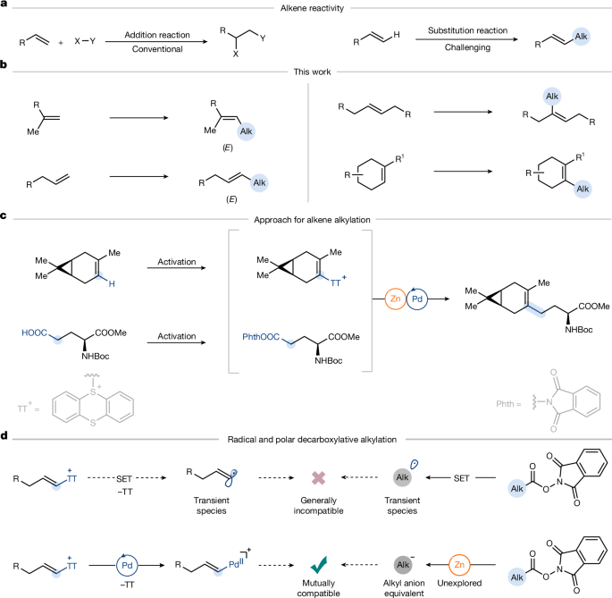 Fig. 1: Development of polar decarboxylative strategy for selective alkene alkylation.
