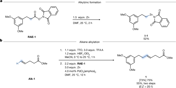 Fig. 2: Reaction development for selective alkene alkylation.