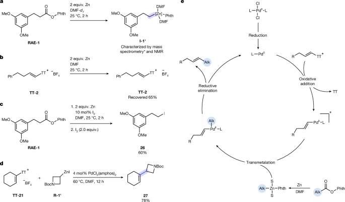 Fig. 4: Mechanistic studies.