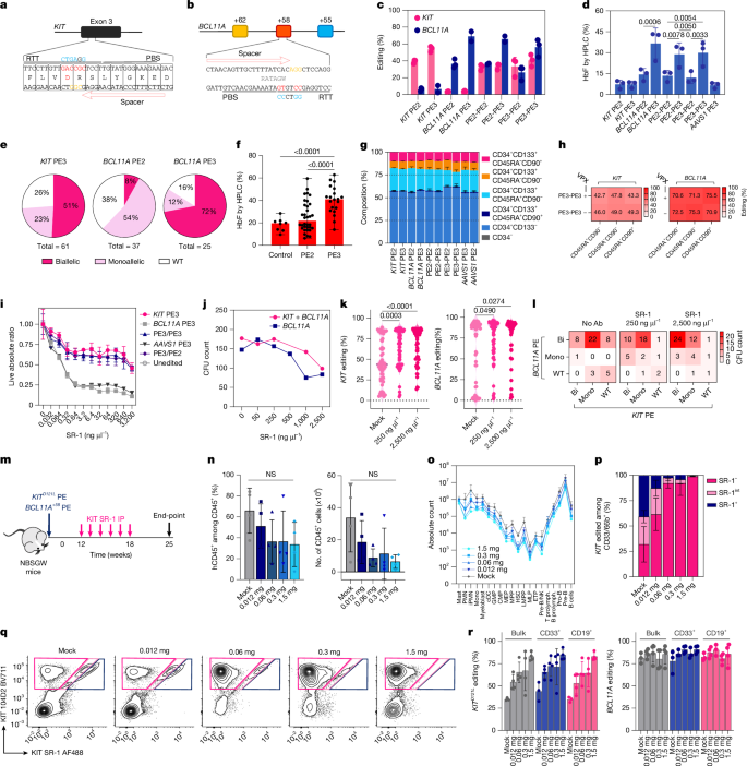 Fig. 4: Prime editing enables KIT epitope editing and BCL11A erythroid enhancer disruption and enhances in vivo selection by SR-1.