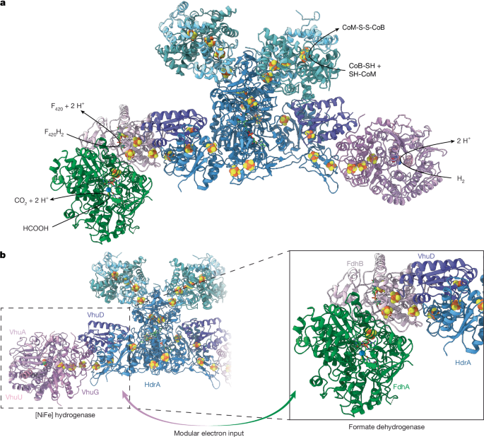 Fig. 5: Modular exchange of the electron-input module.