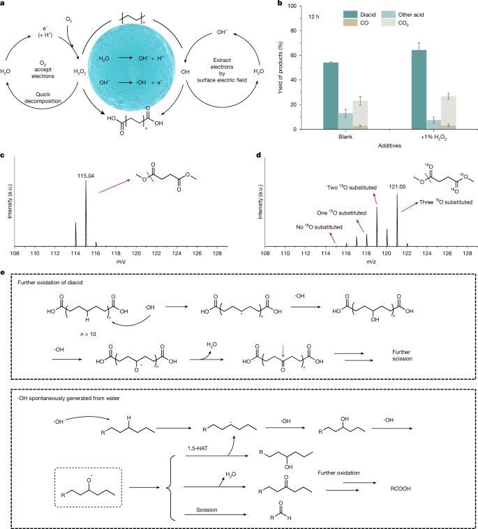 Fig. 3: Time course and mechanisms of the catalyst-free PE oxidation.