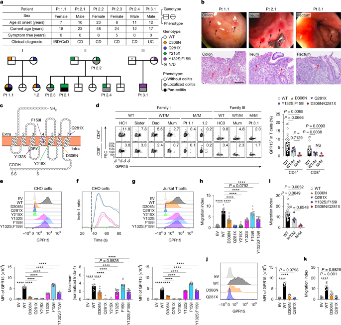 Fig. 1: GPR15 variants in patients with early-onset IBD.