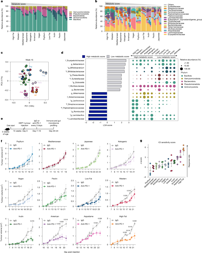 Fig. 2: Dietary intake dictates gut microbiome composition and anti-PD-1 response.