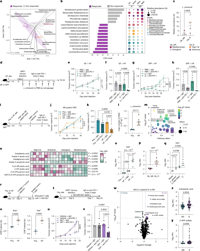 Fig. 5: L. johnsonii underlies High Fat diet-associated ICI efficacy.
