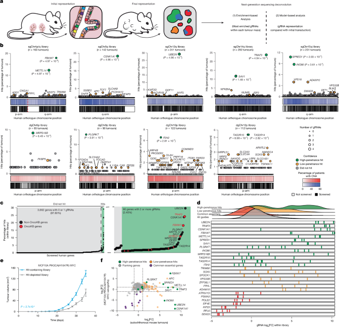 Fig. 2: BLBC CNAs harbour defined driver genes.